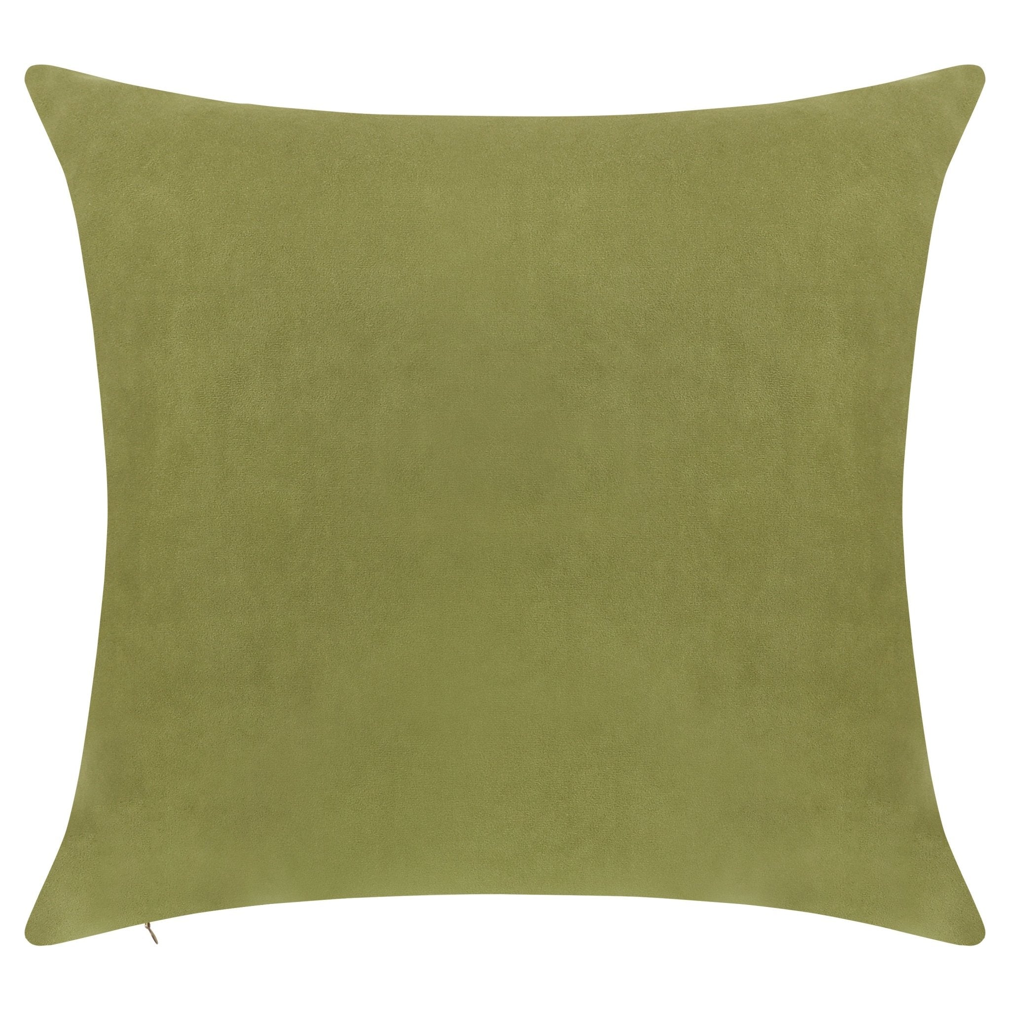 http://www.delarahome.com/cdn/shop/products/everywhere-velvet-throw-pillow-olive-green-766439.jpg?v=1703148533