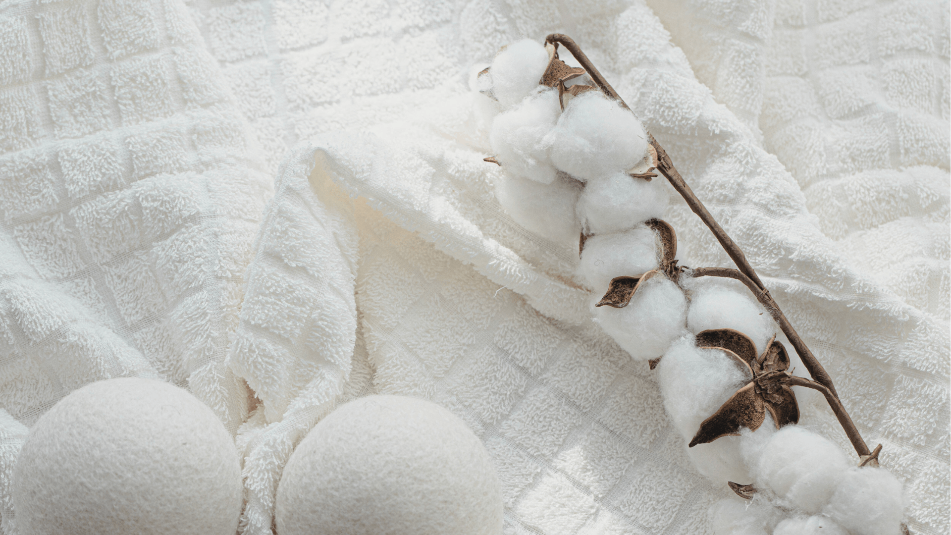 Benefits of Choosing Organic Cotton Sheets - Delara