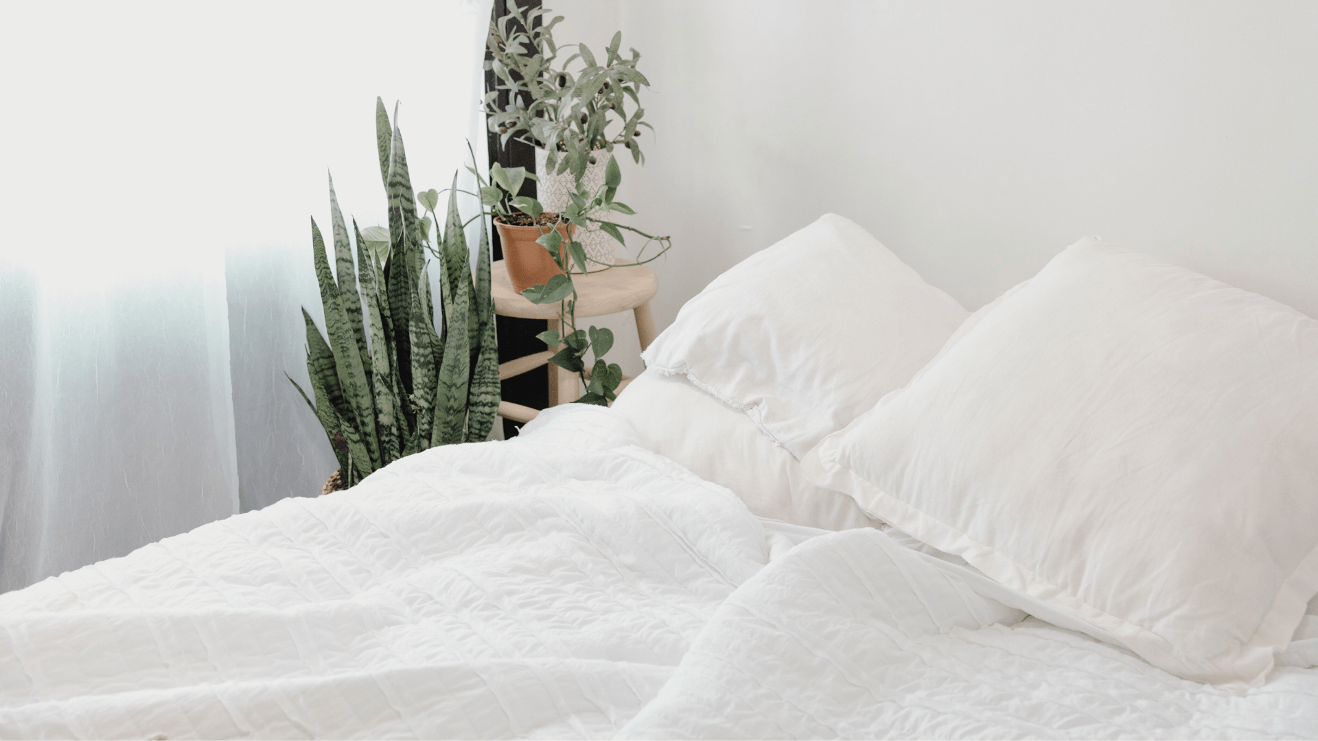 Benefits of Choosing Organic Cotton Duvet Covers - Delara