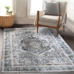 Antique Mist Machine Washable Rug - Delara