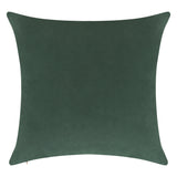 Everywhere Velvet Throw Pillow - DelaraHome